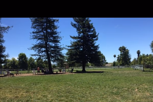 Galvin Community Dog Park